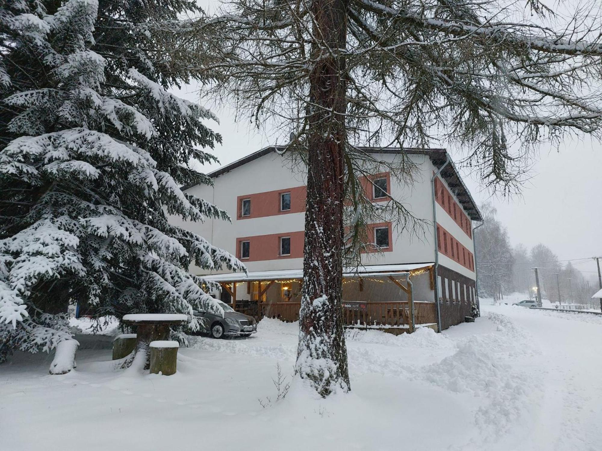 Hotel Bartosovice Bartosovice v Orlickych Horach Экстерьер фото